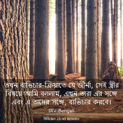 Picture 03 - যিহিষ্কেল 23:43 BENIRV - তখন - Bible Verse Picture