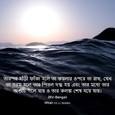 Picture 03 - যিহিষ্কেল 24:11 BENIRV - তারপর হাঁড়ী - Bible Verse Picture