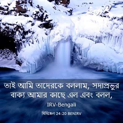 Picture 03 - যিহিষ্কেল 24:20 BENIRV - তাই আমি তাদেরকে - Bible Verse Picture