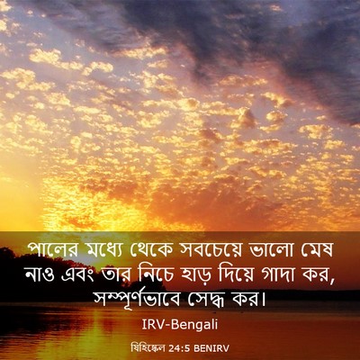 Picture 03 - যিহিষ্কেল 24:5 BENIRV - পালের মধ্যে থেকে - Bible Verse Picture