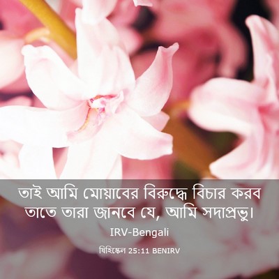 Picture 03 - যিহিষ্কেল 25:11 BENIRV - তাই আমি মোয়াবের - Bible Verse Picture