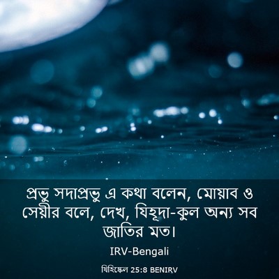 Picture 03 - যিহিষ্কেল 25:8 BENIRV - প্রভু সদাপ্রভু এ - Bible Verse Picture