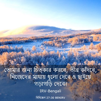 Picture 03 - যিহিষ্কেল 27:30 BENIRV - তোমার জন্য - Bible Verse Picture