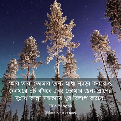 Picture 03 - যিহিষ্কেল 27:31 BENIRV - আর তারা তোমার জন্য - Bible Verse Picture