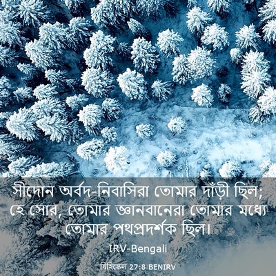Picture 03 - যিহিষ্কেল 27:8 BENIRV - সীদোন - Bible Verse Picture
