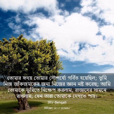 Picture 03 - যিহিষ্কেল 28:17 BENIRV - তোমার হৃদয় তোমার - Bible Verse Picture