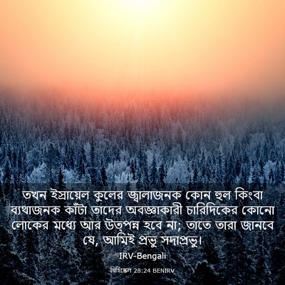 Picture 03 - যিহিষ্কেল 28:24 BENIRV - তখন ইস্রায়েল - Bible Verse Picture