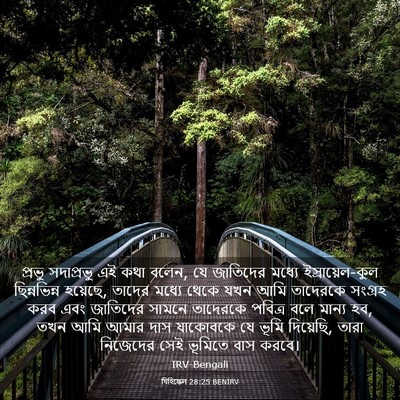 Picture 03 - যিহিষ্কেল 28:25 BENIRV - প্রভু সদাপ্রভু এই - Bible Verse Picture