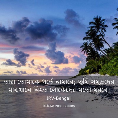 Picture 03 - যিহিষ্কেল 28:8 BENIRV - তারা তোমাকে গর্তে - Bible Verse Picture