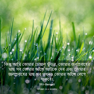 Picture 03 - যিহিষ্কেল 29:4 BENIRV - কিন্তু আমি তোমার - Bible Verse Picture
