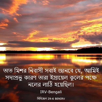 Picture 03 - যিহিষ্কেল 29:6 BENIRV - তাত মিশর নিবাসী - Bible Verse Picture