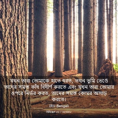 Picture 03 - যিহিষ্কেল 29:7 BENIRV - যখন তারা তোমাকে - Bible Verse Picture