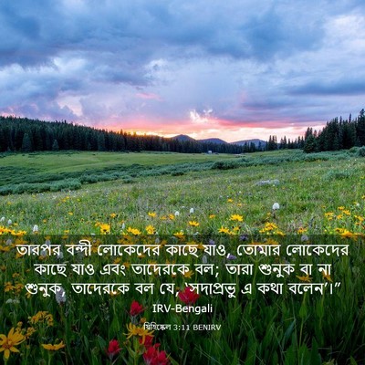Picture 03 - যিহিষ্কেল 3:11 BENIRV - তারপর বন্দী - Bible Verse Picture