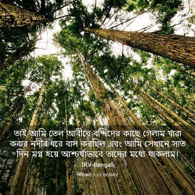 Picture 03 - যিহিষ্কেল 3:15 BENIRV - তাই আমি তেল আবীবে - Bible Verse Picture