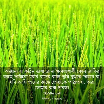Picture 03 - যিহিষ্কেল 3:6 BENIRV - অজানা বা কঠিন ভাষা - Bible Verse Picture