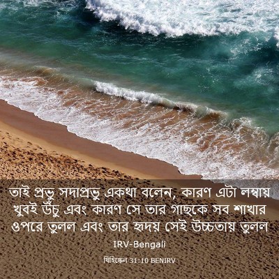 Picture 03 - যিহিষ্কেল 31:10 BENIRV - তাই প্রভু - Bible Verse Picture