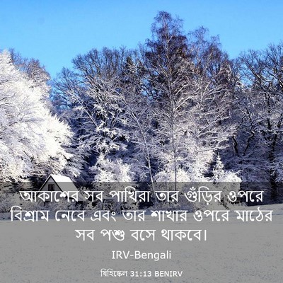 Picture 03 - যিহিষ্কেল 31:13 BENIRV - আকাশের সব পাখিরা - Bible Verse Picture