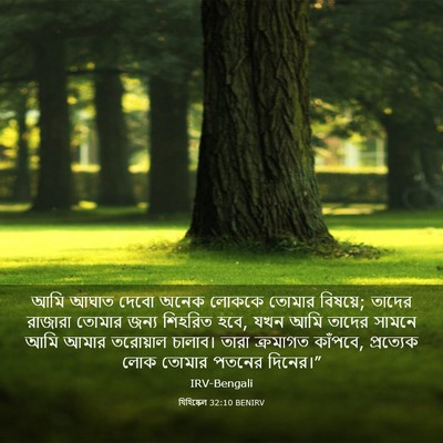 Picture 03 - যিহিষ্কেল 32:10 BENIRV - আমি আঘাত দেবো অনেক - Bible Verse Picture