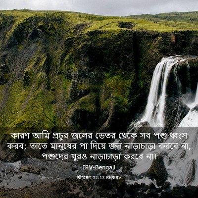 Picture 03 - যিহিষ্কেল 32:13 BENIRV - কারণ আমি প্রচুর - Bible Verse Picture