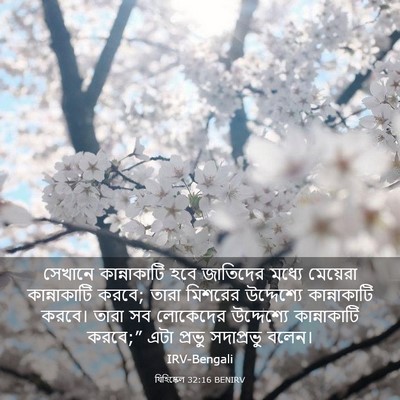 Picture 03 - যিহিষ্কেল 32:16 BENIRV - সেখানে কান্নাকাটি - Bible Verse Picture