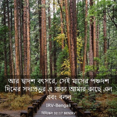 Picture 03 - যিহিষ্কেল 32:17 BENIRV - আর দ্বাদশ বৎসরে, - Bible Verse Picture