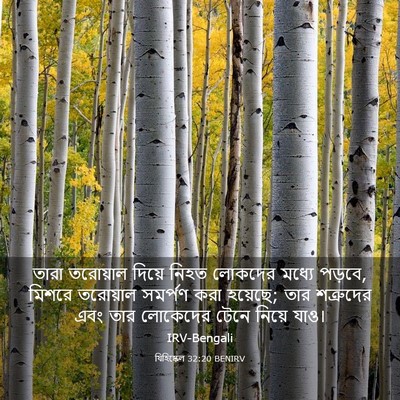 Picture 03 - যিহিষ্কেল 32:20 BENIRV - তারা তরোয়াল - Bible Verse Picture