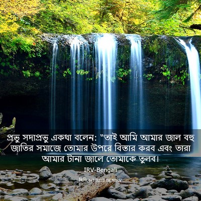 Picture 03 - যিহিষ্কেল 32:3 BENIRV - প্রভু সদাপ্রভু - Bible Verse Picture