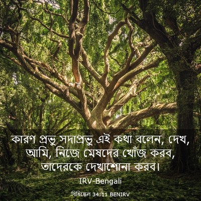 Picture 03 - যিহিষ্কেল 34:11 BENIRV - কারণ প্রভু - Bible Verse Picture