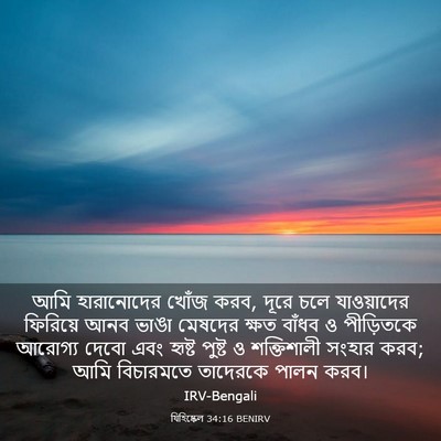 Picture 03 - যিহিষ্কেল 34:16 BENIRV - আমি হারানোদের - Bible Verse Picture