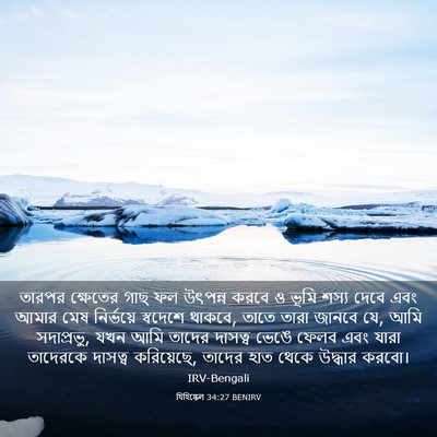 Picture 03 - যিহিষ্কেল 34:27 BENIRV - তারপর ক্ষেতের গাছ - Bible Verse Picture
