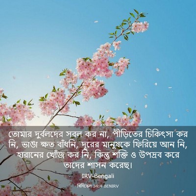 Picture 03 - যিহিষ্কেল 34:4 BENIRV - তোমার দুর্বলদের - Bible Verse Picture