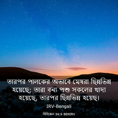 Picture 03 - যিহিষ্কেল 34:5 BENIRV - তারপর পালকের - Bible Verse Picture