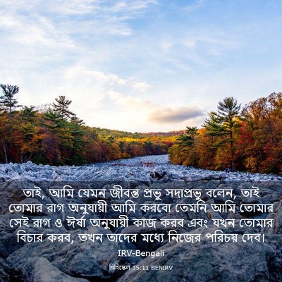 Picture 03 - যিহিষ্কেল 35:11 BENIRV - তাই, আমি যেমন - Bible Verse Picture