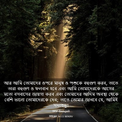 Picture 03 - যিহিষ্কেল 36:11 BENIRV - আর আমি তোমাদের - Bible Verse Picture