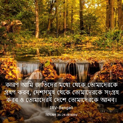Picture 03 - যিহিষ্কেল 36:24 BENIRV - কারণ আমি জাতিদের - Bible Verse Picture