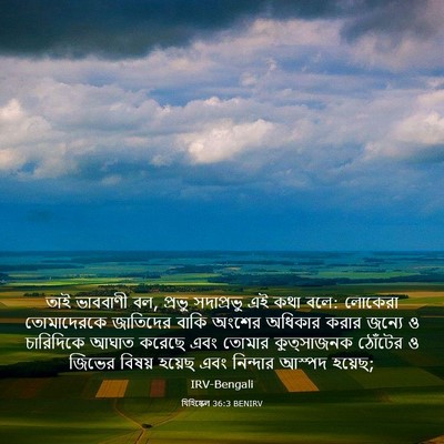 Picture 03 - যিহিষ্কেল 36:3 BENIRV - তাই ভাববাণী বল, - Bible Verse Picture