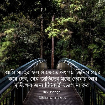 Picture 03 - যিহিষ্কেল 36:30 BENIRV - আমি গাছের ফল ও - Bible Verse Picture