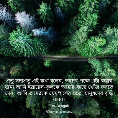 Picture 03 - যিহিষ্কেল 36:37 BENIRV - প্রভু সদাপ্রভু এই - Bible Verse Picture