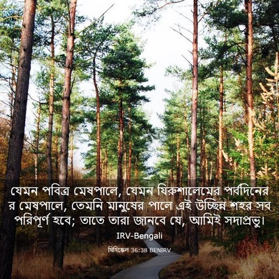 Picture 03 - যিহিষ্কেল 36:38 BENIRV - যেমন পবিত্র - Bible Verse Picture