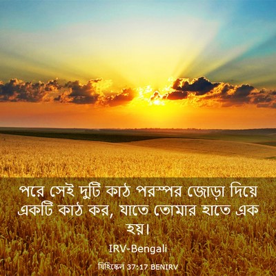 Picture 03 - যিহিষ্কেল 37:17 BENIRV - পরে সেই দুটি কাঠ - Bible Verse Picture