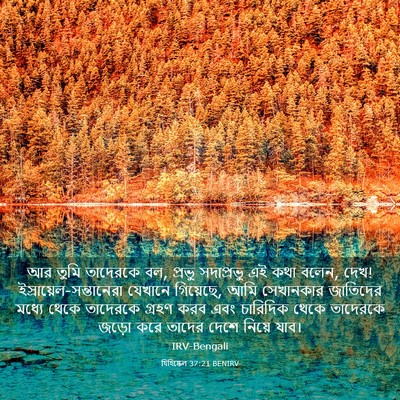 Picture 03 - যিহিষ্কেল 37:21 BENIRV - আর তুমি তাদেরকে বল, - Bible Verse Picture