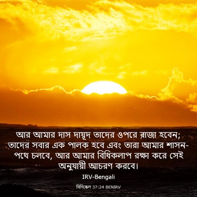 Picture 03 - যিহিষ্কেল 37:24 BENIRV - আর আমার দাস দায়ূদ - Bible Verse Picture