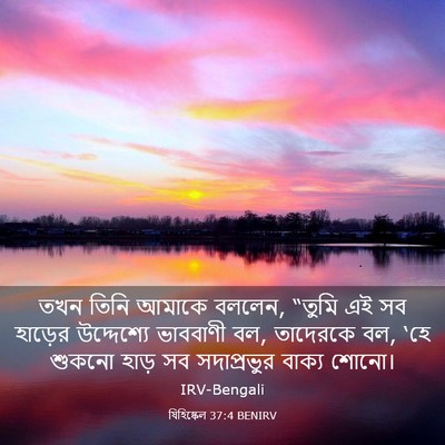 Picture 03 - যিহিষ্কেল 37:4 BENIRV - তখন তিনি আমাকে - Bible Verse Picture