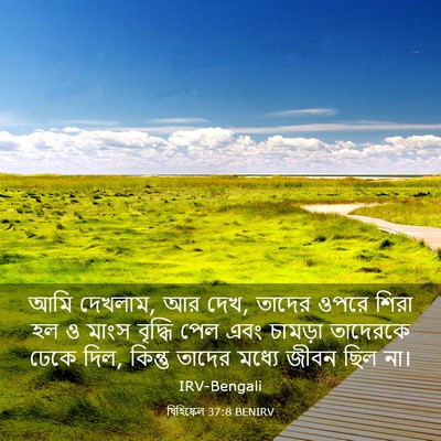 Picture 03 - যিহিষ্কেল 37:8 BENIRV - আমি দেখলাম, আর দেখ, - Bible Verse Picture