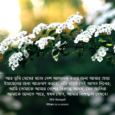 Picture 03 - যিহিষ্কেল 38:16 BENIRV - আর তুমি মেঘের মতো - Bible Verse Picture