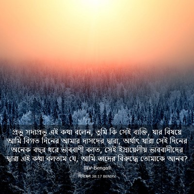 Picture 03 - যিহিষ্কেল 38:17 BENIRV - প্রভু সদাপ্রভু এই - Bible Verse Picture