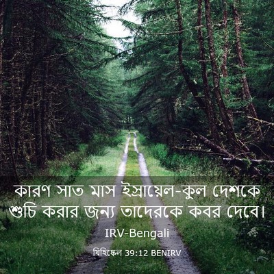 Picture 03 - যিহিষ্কেল 39:12 BENIRV - কারণ সাত মাস - Bible Verse Picture
