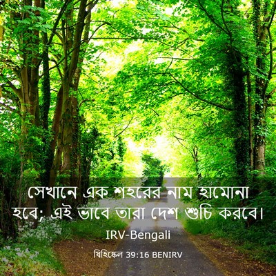 Picture 03 - যিহিষ্কেল 39:16 BENIRV - সেখানে এক শহরের - Bible Verse Picture