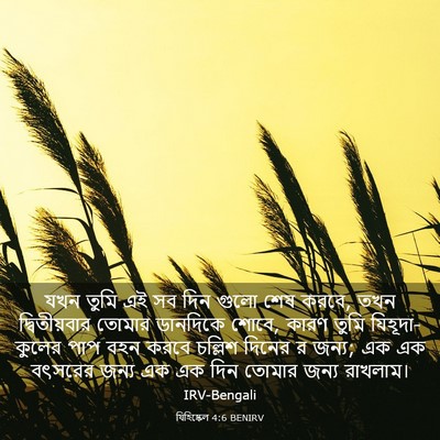 Picture 03 - যিহিষ্কেল 4:6 BENIRV - যখন তুমি এই সব দিন - Bible Verse Picture