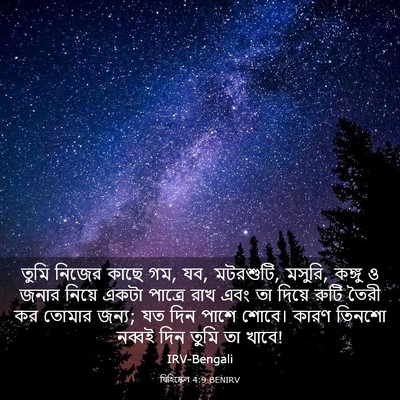 Picture 03 - যিহিষ্কেল 4:9 BENIRV - তুমি নিজের কাছে গম, - Bible Verse Picture